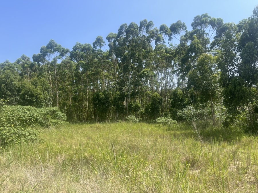 0 Bedroom Property for Sale in Elaleni Coastal Forest Estate KwaZulu-Natal