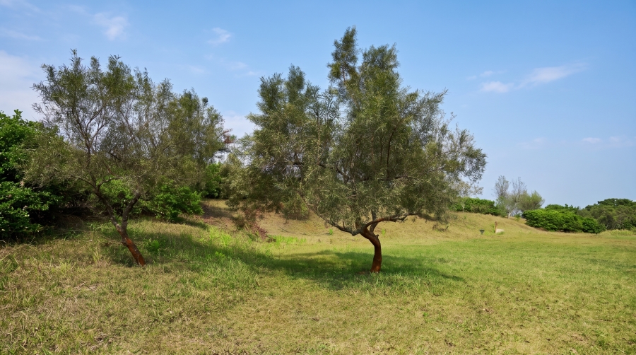 0 Bedroom Property for Sale in Albert Falls KwaZulu-Natal