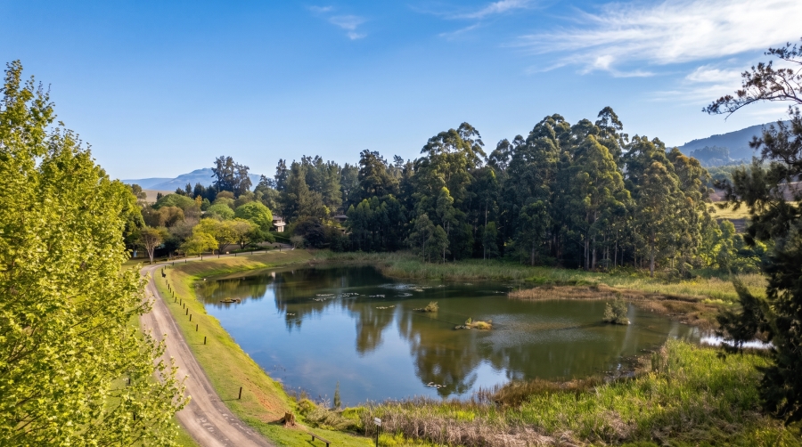 0 Bedroom Property for Sale in Albert Falls KwaZulu-Natal