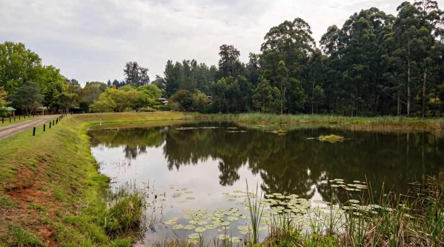 0 Bedroom Property for Sale in Albert Falls KwaZulu-Natal