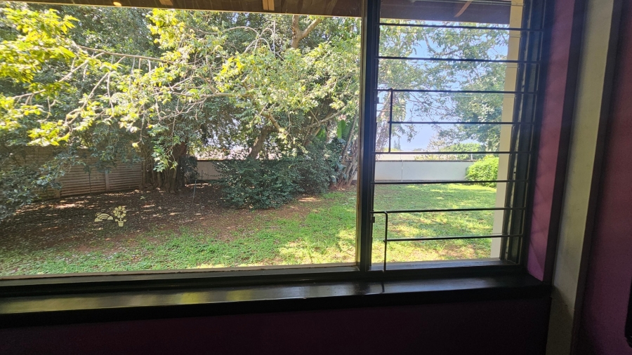 To Let 4 Bedroom Property for Rent in Umbilo KwaZulu-Natal