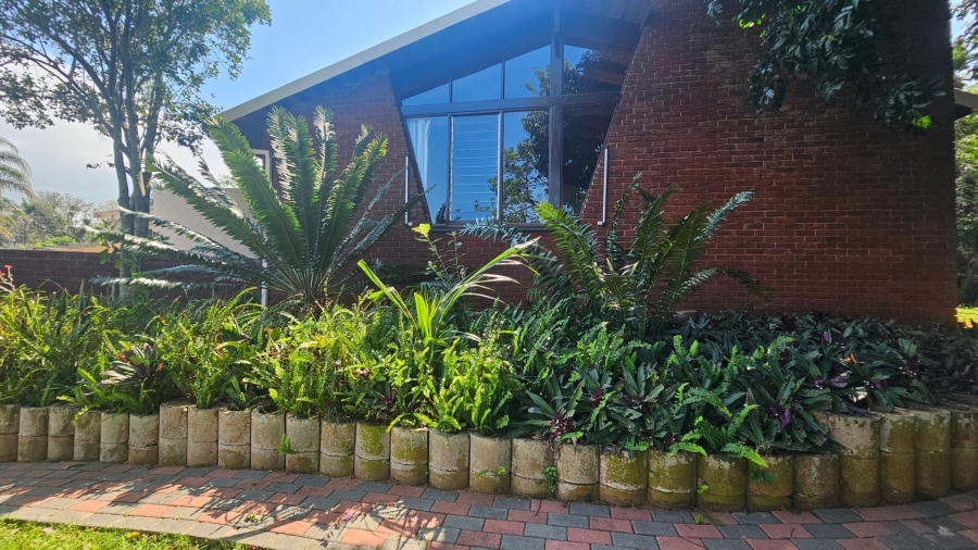 To Let 4 Bedroom Property for Rent in Umbilo KwaZulu-Natal