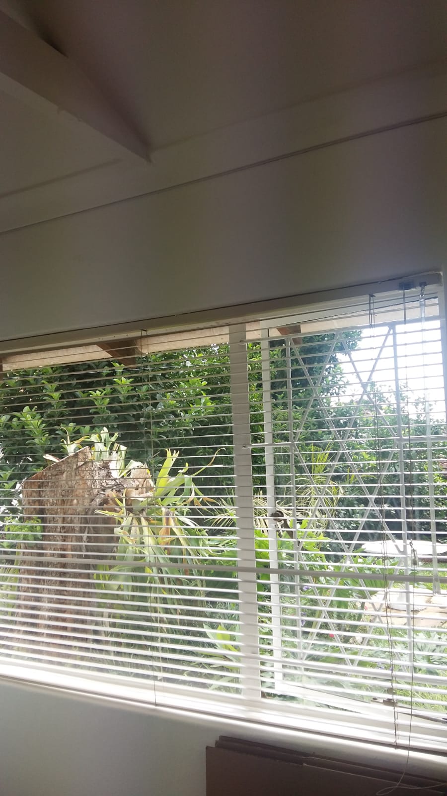To Let 1 Bedroom Property for Rent in Wembley KwaZulu-Natal