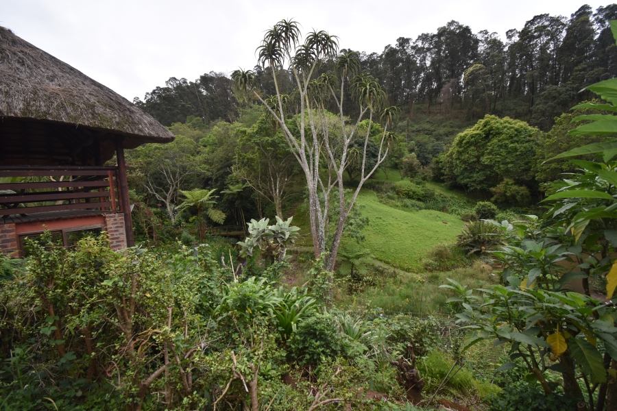 4 Bedroom Property for Sale in Chase Valley KwaZulu-Natal