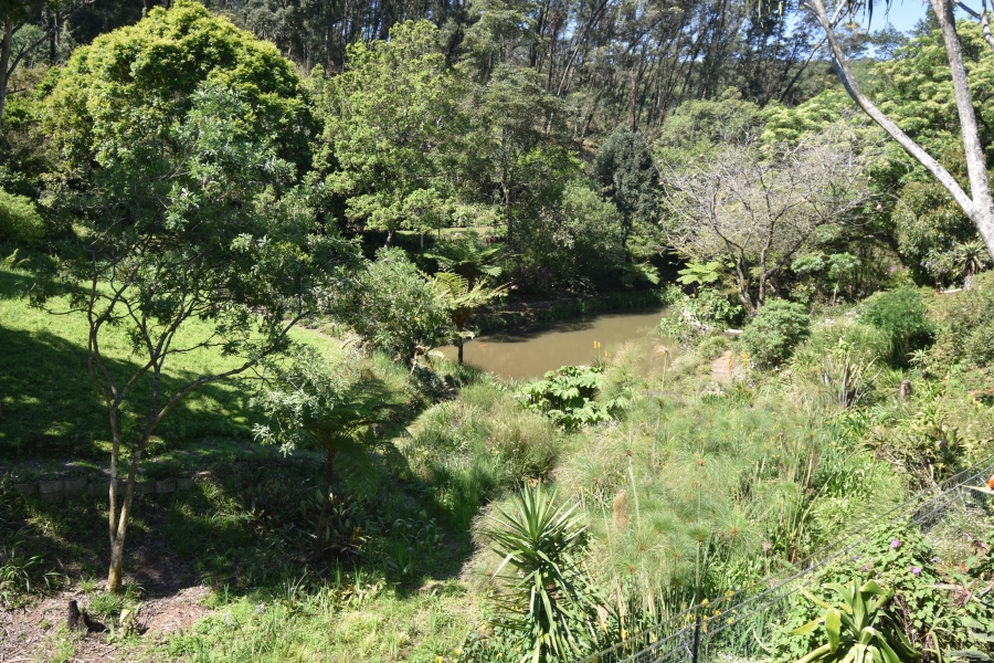 4 Bedroom Property for Sale in Chase Valley KwaZulu-Natal