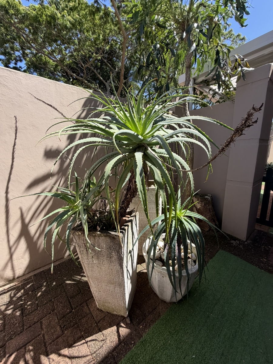 4 Bedroom Property for Sale in Scottburgh Central KwaZulu-Natal