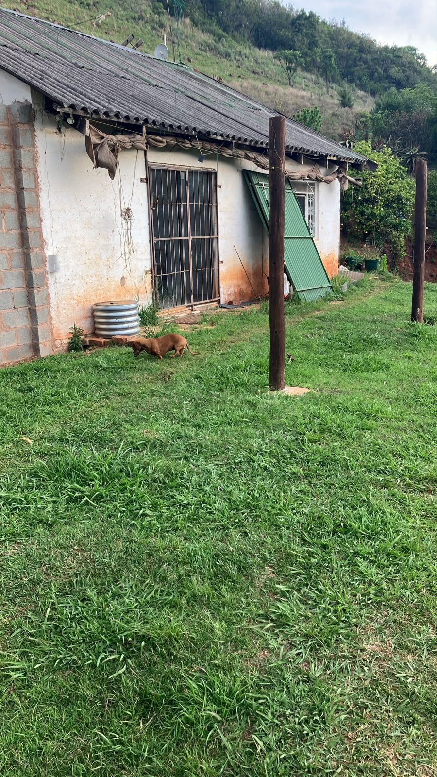 To Let 1 Bedroom Property for Rent in Dargle KwaZulu-Natal