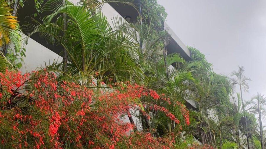 2 Bedroom Property for Sale in Elaleni Coastal Forest Estate KwaZulu-Natal