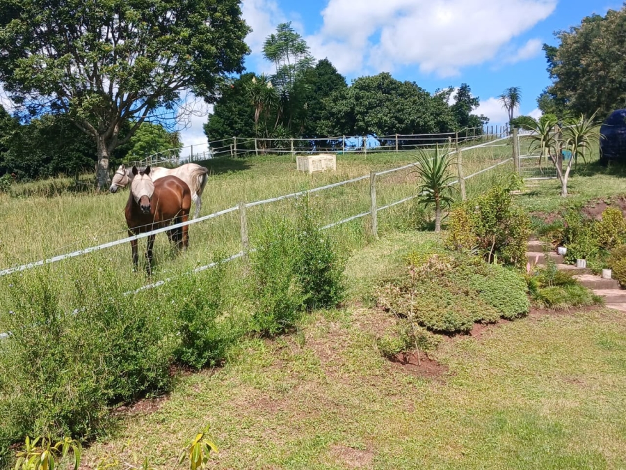 To Let 2 Bedroom Property for Rent in Drummond KwaZulu-Natal