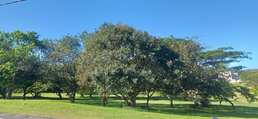 5 Bedroom Property for Sale in Blythedale KwaZulu-Natal