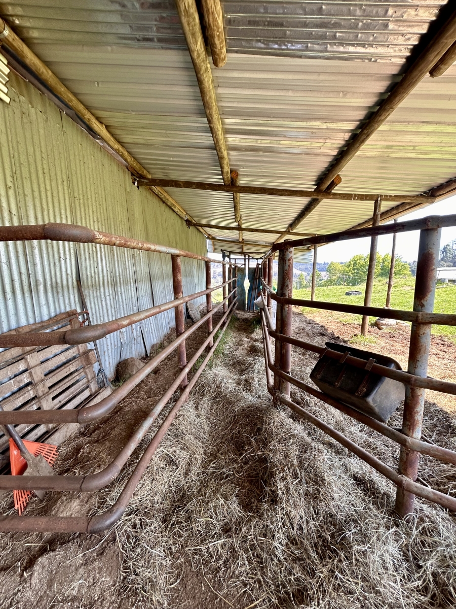 5 Bedroom Property for Sale in Howick Rural KwaZulu-Natal
