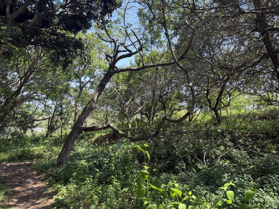 0 Bedroom Property for Sale in Seaton Estate KwaZulu-Natal