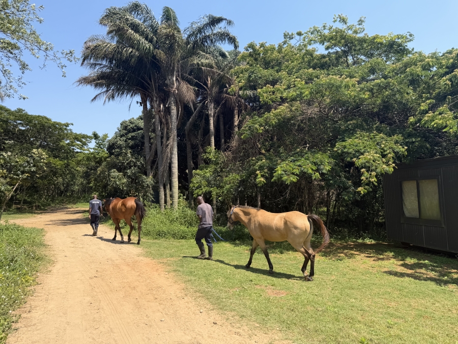 0 Bedroom Property for Sale in Seaton Estate KwaZulu-Natal