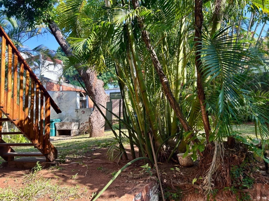 To Let 2 Bedroom Property for Rent in Morningside KwaZulu-Natal