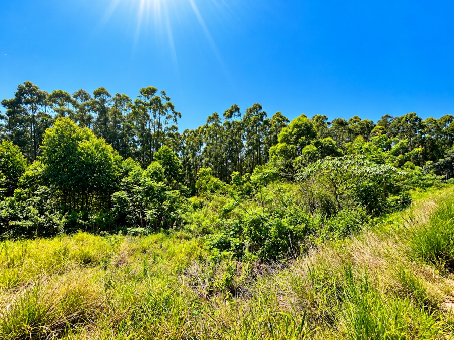 0 Bedroom Property for Sale in Elaleni Coastal Forest Estate KwaZulu-Natal