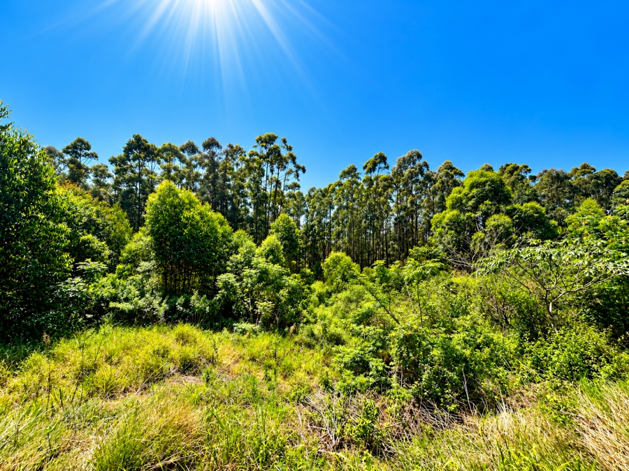 0 Bedroom Property for Sale in Elaleni Coastal Forest Estate KwaZulu-Natal