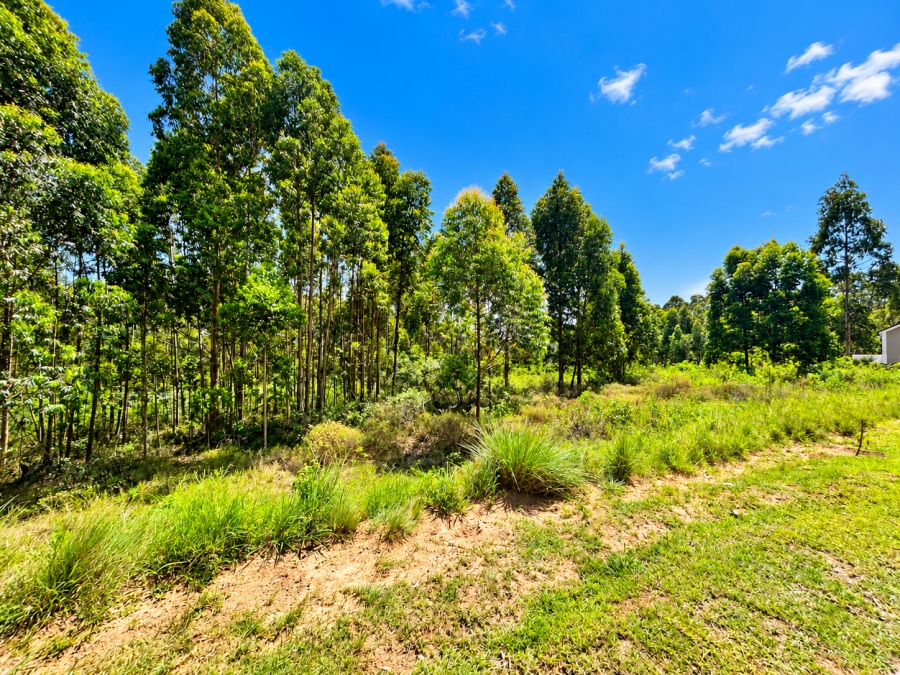 0 Bedroom Property for Sale in Elaleni Coastal Forest Estate KwaZulu-Natal