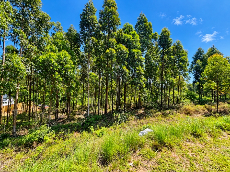 0 Bedroom Property for Sale in Elaleni Coastal Forest Estate KwaZulu-Natal