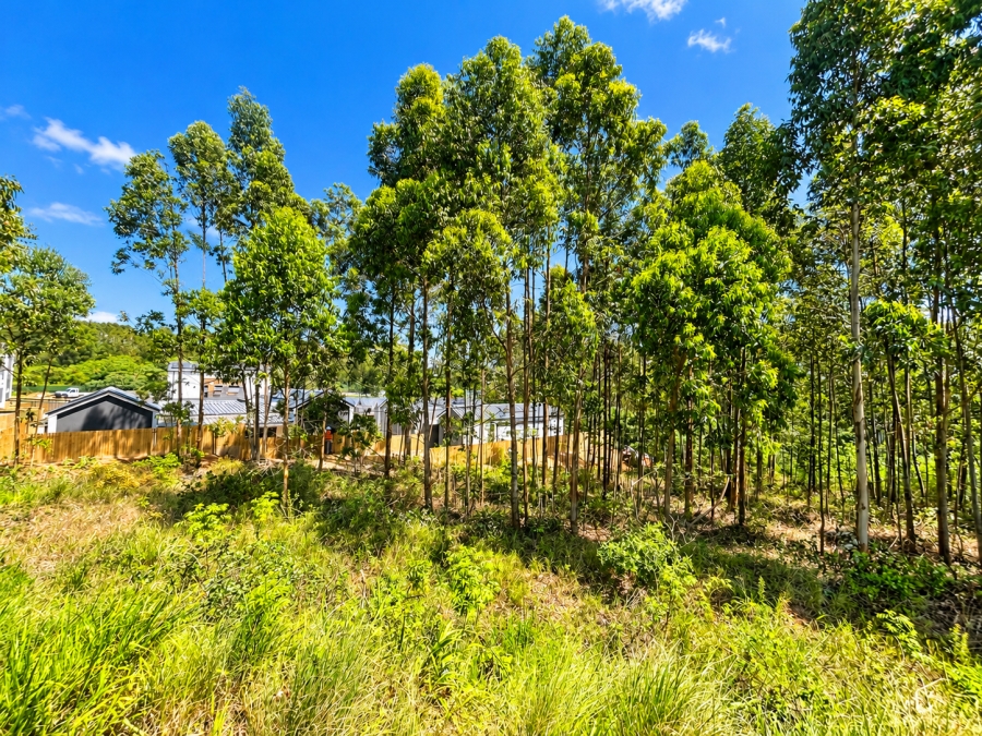 0 Bedroom Property for Sale in Elaleni Coastal Forest Estate KwaZulu-Natal
