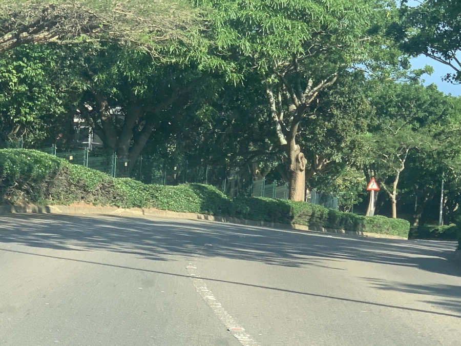 Commercial Property for Sale in La Lucia Ridge KwaZulu-Natal