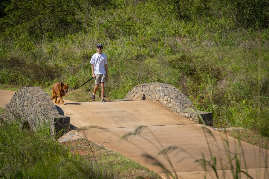 0 Bedroom Property for Sale in Zimbali Lakes Resort KwaZulu-Natal