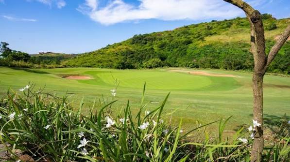 0 Bedroom Property for Sale in Zimbali Lakes Resort KwaZulu-Natal