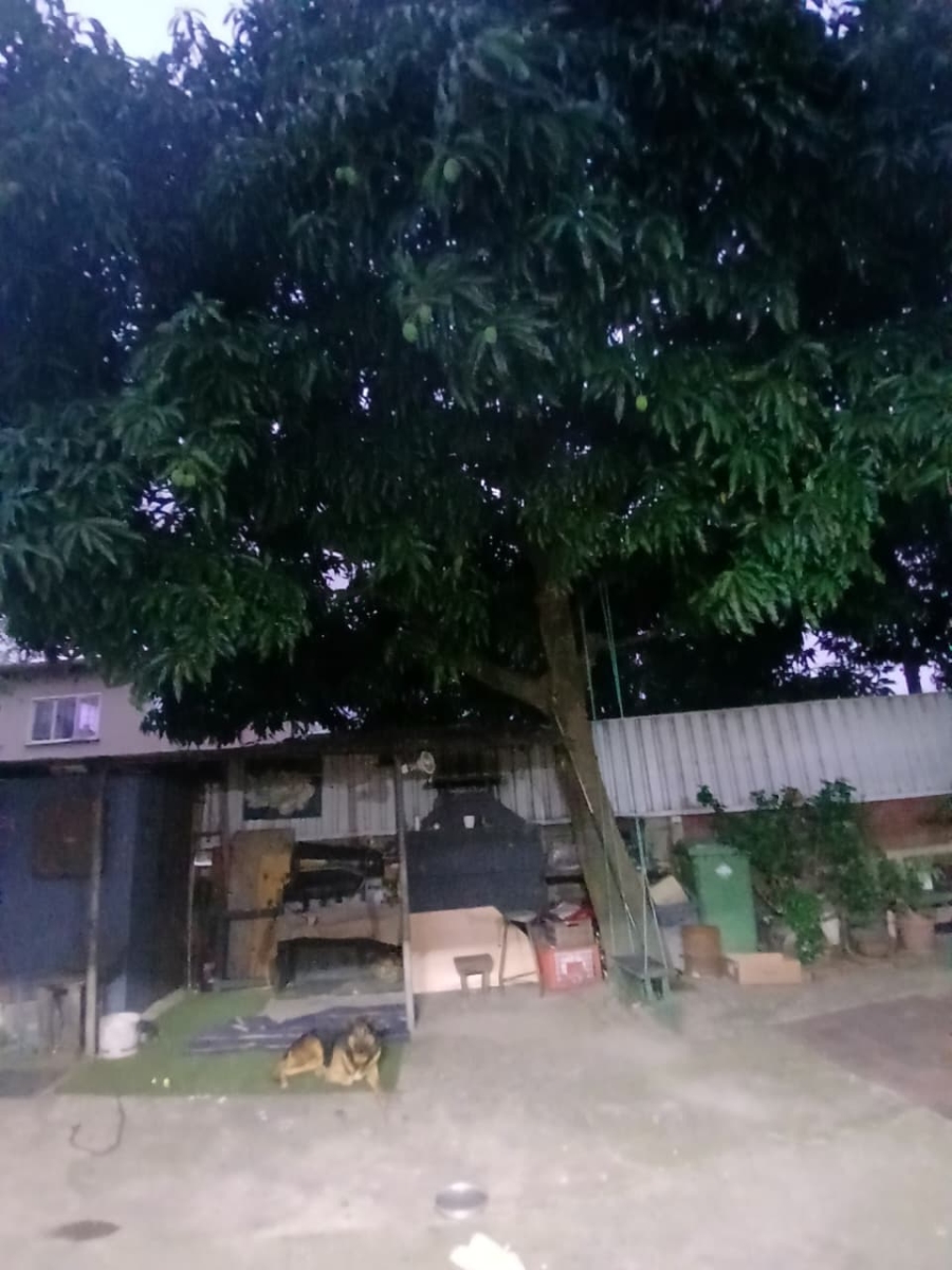 4 Bedroom Property for Sale in Shastri Park KwaZulu-Natal