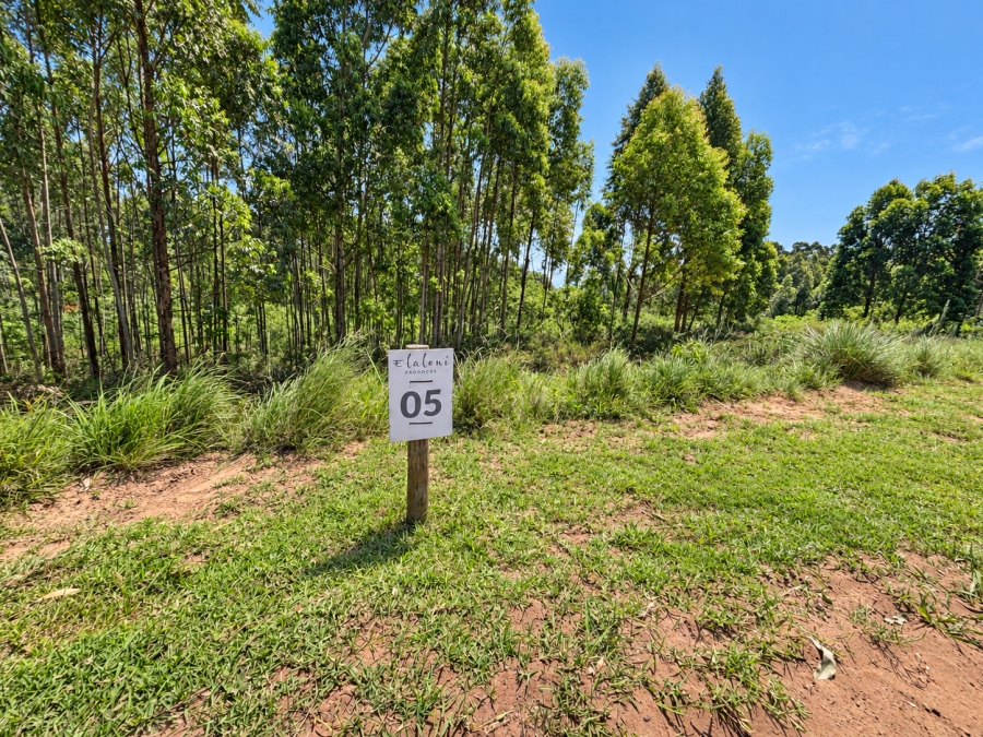 0 Bedroom Property for Sale in Elaleni Coastal Forest Estate KwaZulu-Natal