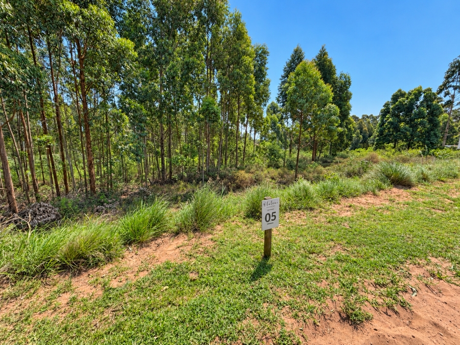 0 Bedroom Property for Sale in Elaleni Coastal Forest Estate KwaZulu-Natal