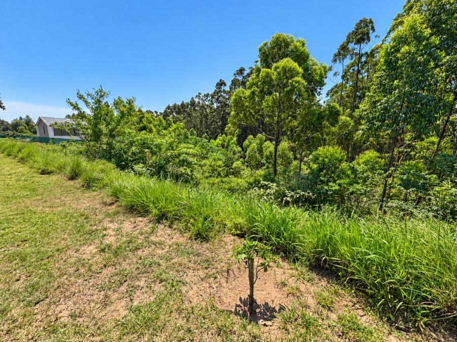0 Bedroom Property for Sale in Elaleni Coastal Forest Estate KwaZulu-Natal