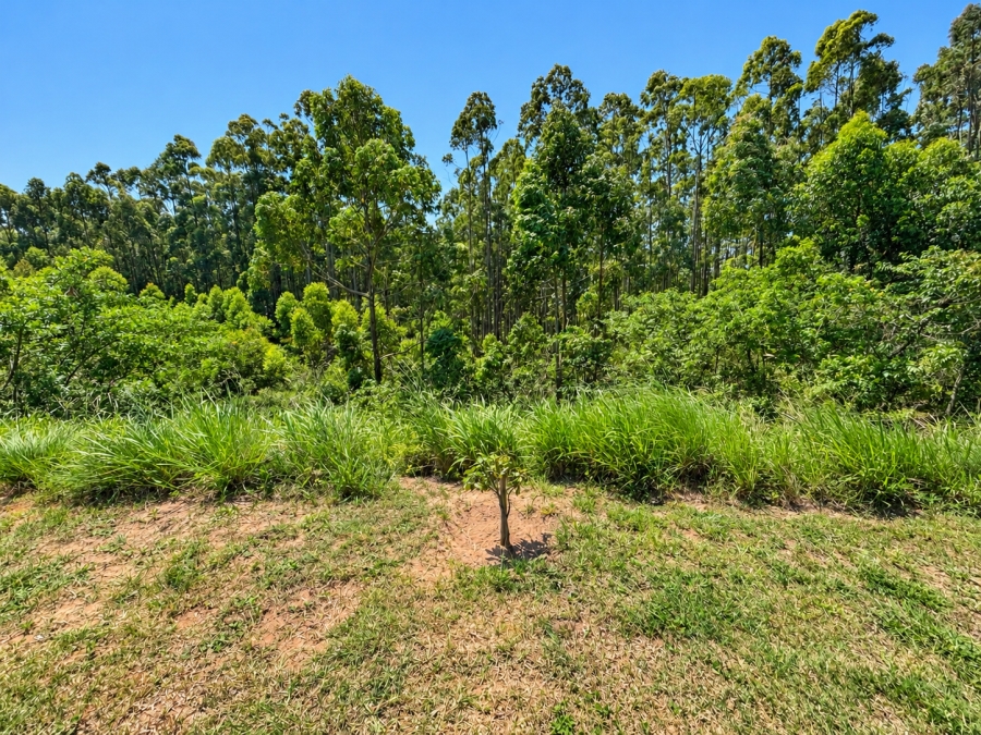 0 Bedroom Property for Sale in Elaleni Coastal Forest Estate KwaZulu-Natal