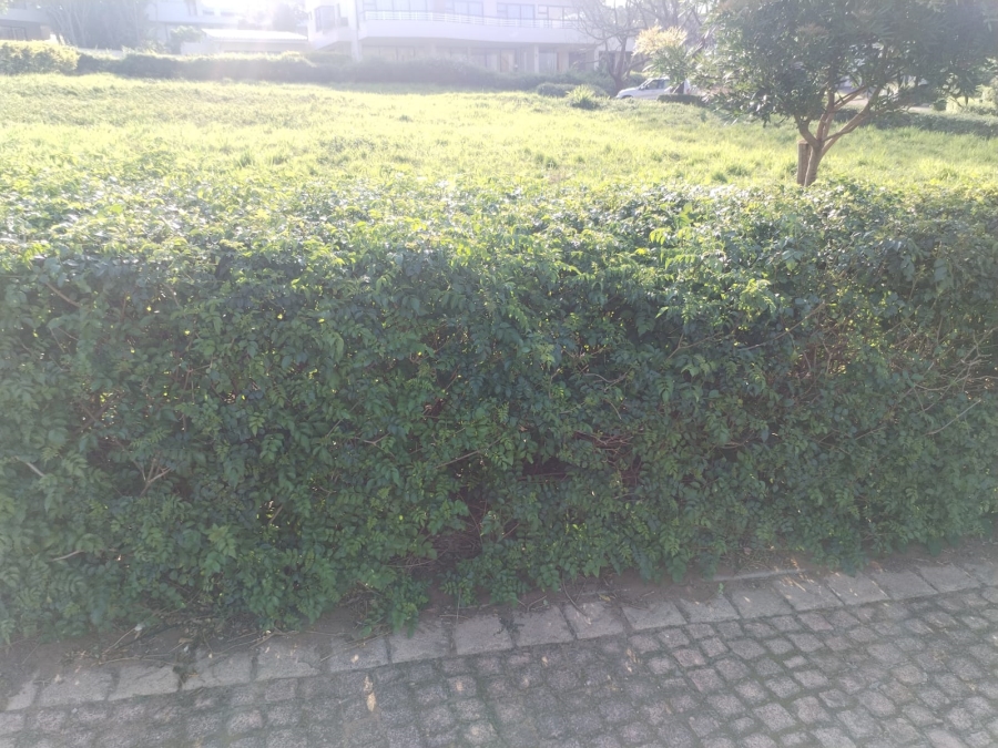 0 Bedroom Property for Sale in Zinkwazi Beach KwaZulu-Natal