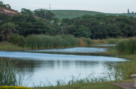 To Let 3 Bedroom Property for Rent in Palm Lakes Estate KwaZulu-Natal