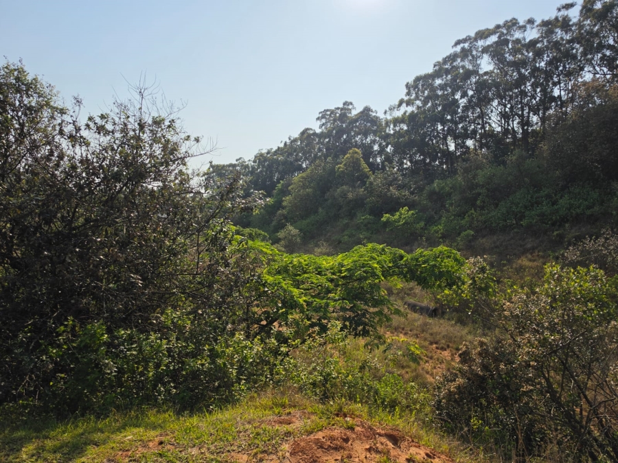 Commercial Property for Sale in Zimbali Coastal Resort Estate KwaZulu-Natal