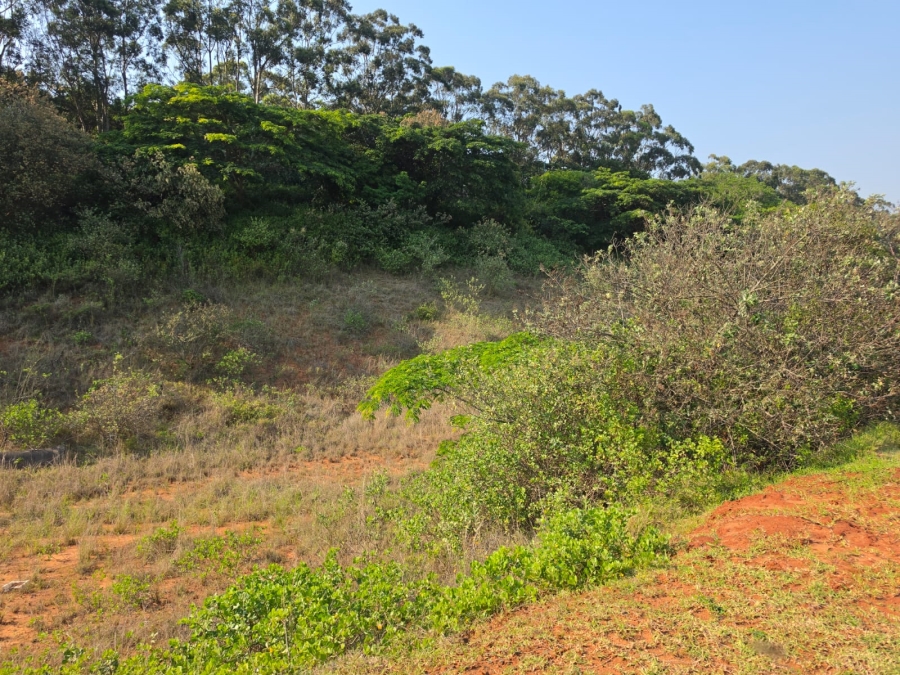 Commercial Property for Sale in Zimbali Coastal Resort Estate KwaZulu-Natal