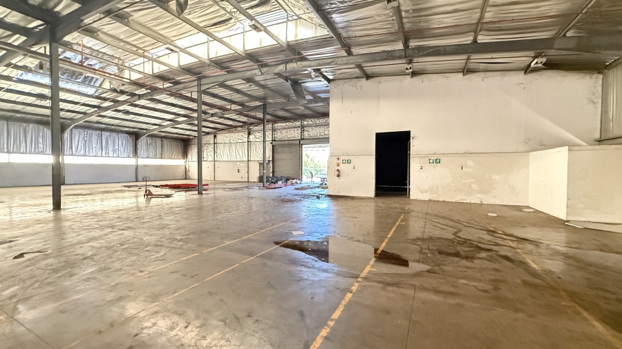 Commercial Property for Sale in Springfield KwaZulu-Natal