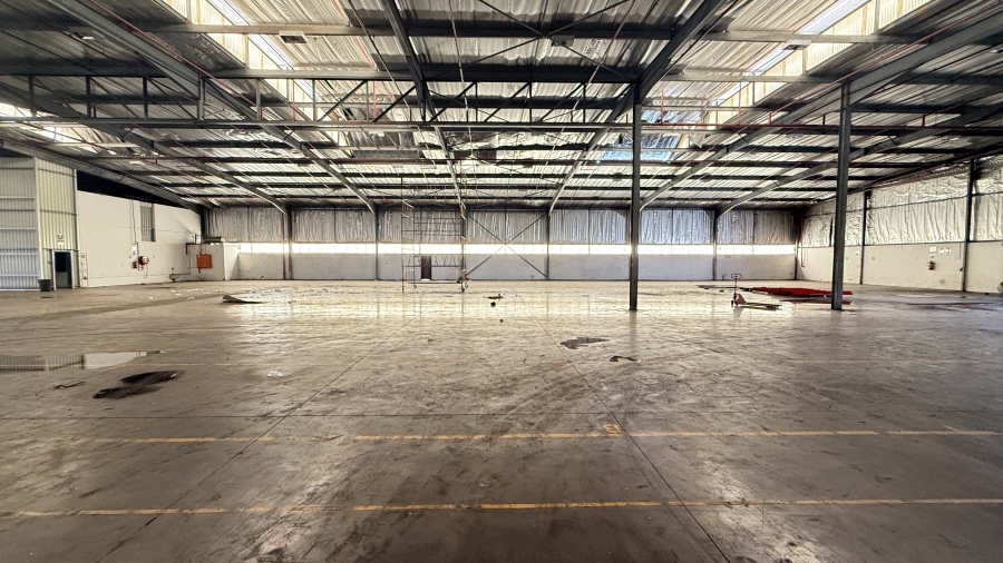 Commercial Property for Sale in Springfield KwaZulu-Natal