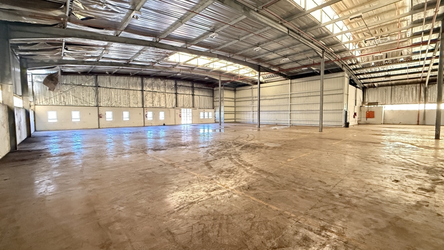Commercial Property for Sale in Springfield KwaZulu-Natal