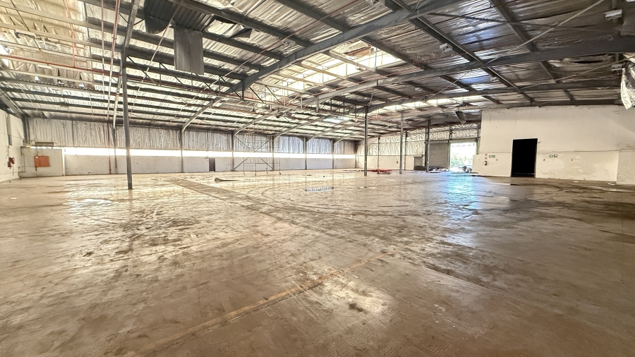 Commercial Property for Sale in Springfield KwaZulu-Natal