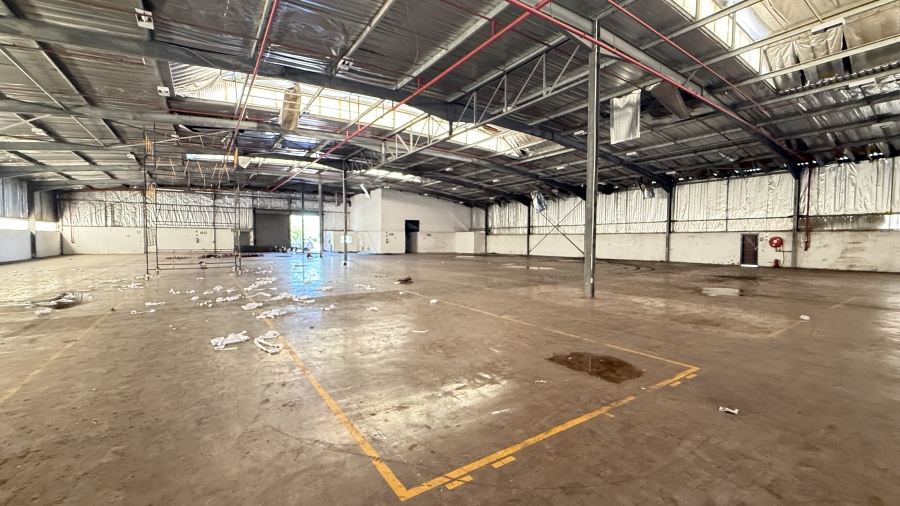 Commercial Property for Sale in Springfield KwaZulu-Natal