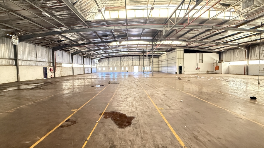 Commercial Property for Sale in Springfield KwaZulu-Natal