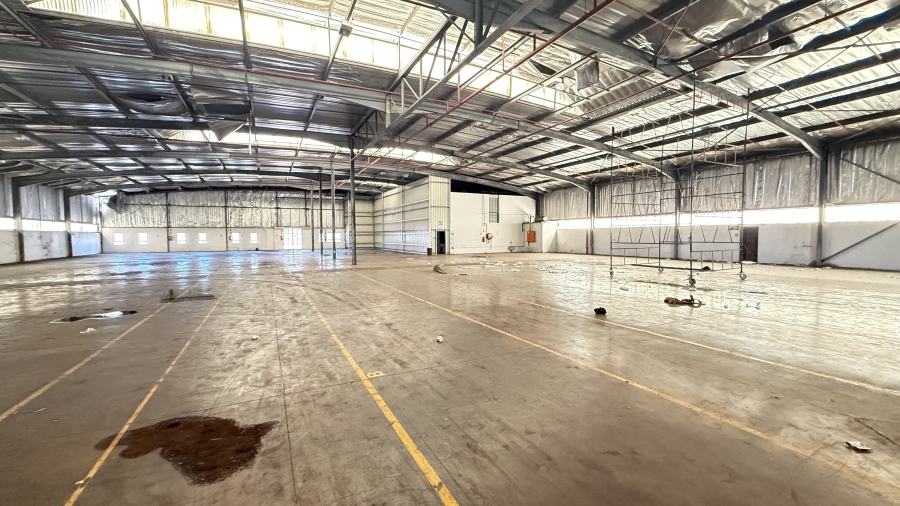 Commercial Property for Sale in Springfield KwaZulu-Natal