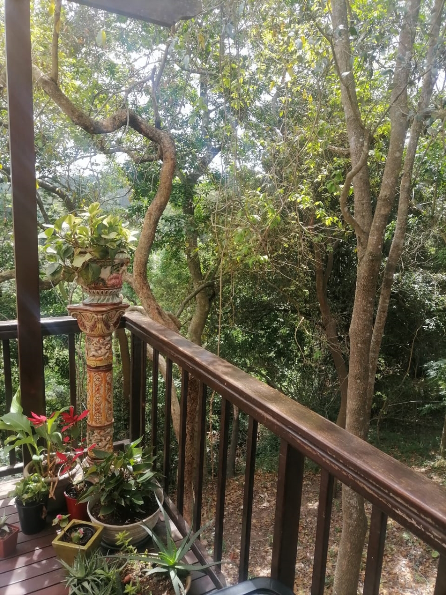 To Let 3 Bedroom Property for Rent in Westville Central KwaZulu-Natal
