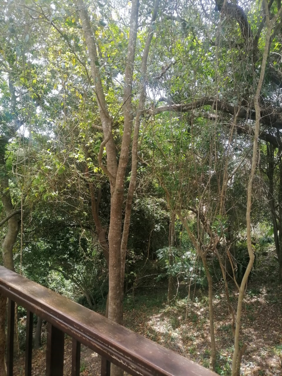 To Let 3 Bedroom Property for Rent in Westville Central KwaZulu-Natal