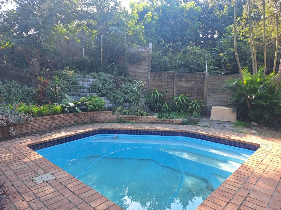 To Let 3 Bedroom Property for Rent in Arboretum KwaZulu-Natal