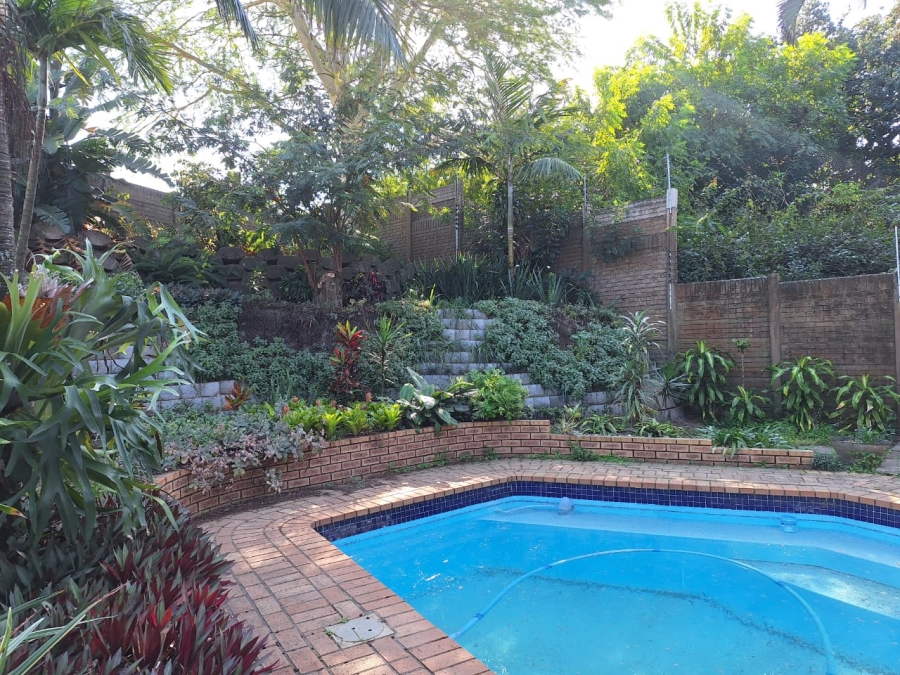 To Let 3 Bedroom Property for Rent in Arboretum KwaZulu-Natal
