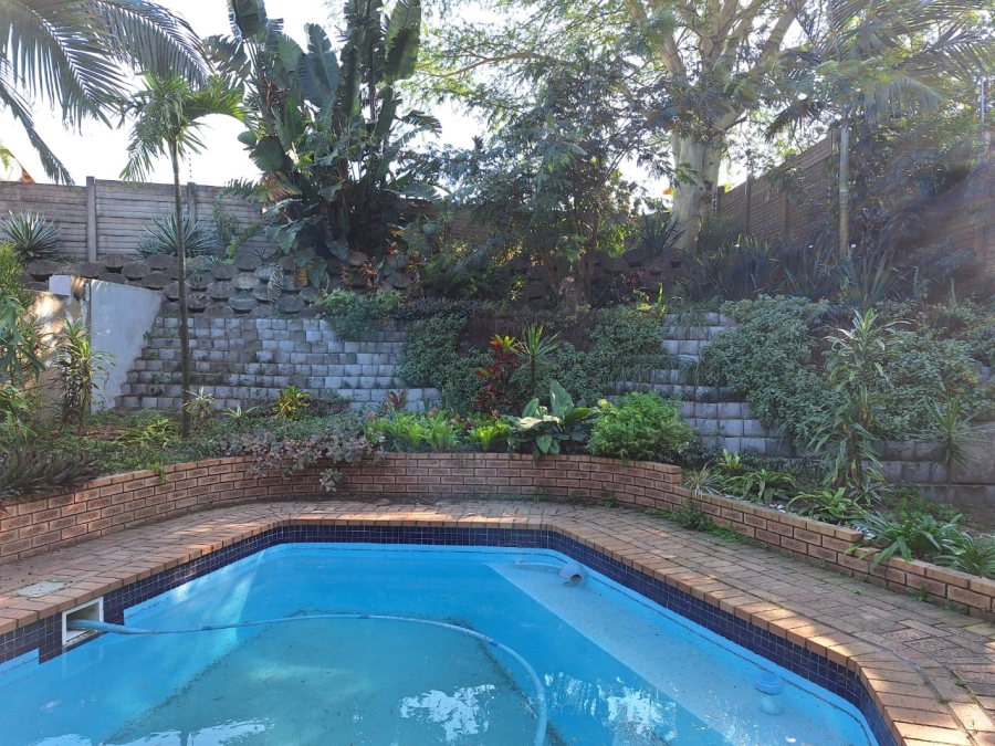 To Let 3 Bedroom Property for Rent in Arboretum KwaZulu-Natal