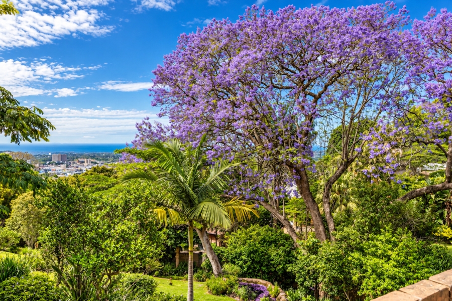 4 Bedroom Property for Sale in Kloof KwaZulu-Natal
