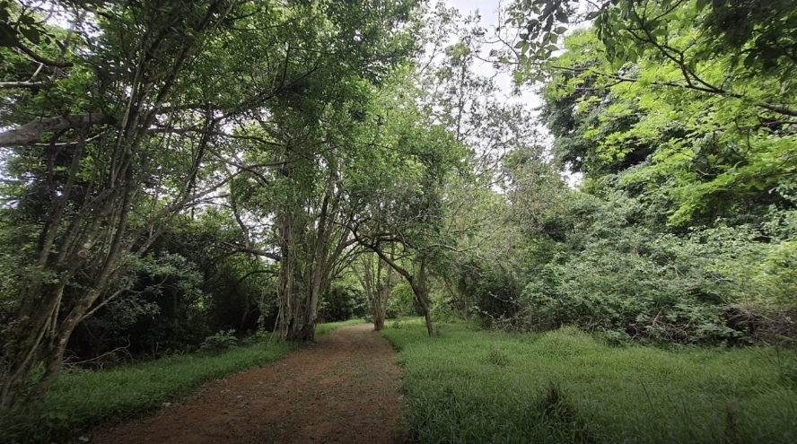 0 Bedroom Property for Sale in Hawaan Forest Estate KwaZulu-Natal