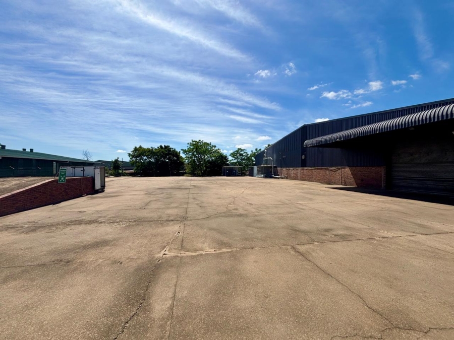 To Let Commercial Property for Rent in Mkondeni KwaZulu-Natal